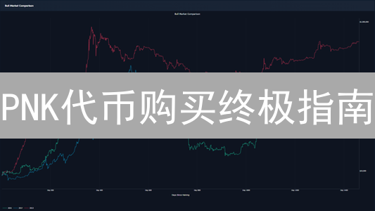 PNK代币购买终极指南：新手也能轻松上手！