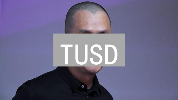 TUSD：如何在USDT和USDC的夹缝中求生？竞争、优势与未来展望！